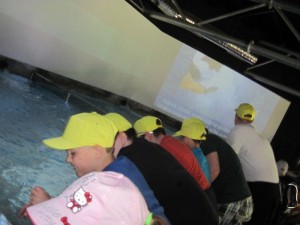 IMG_0037