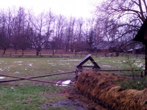 img_20161212_093945