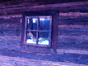 img_20161212_110109