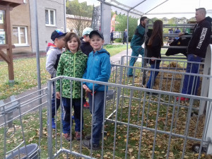 20171006_093022 (Kopírovat) - kopie