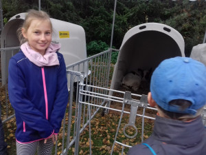20171006_093033 (Kopírovat) - kopie