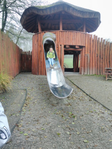 ZOO2