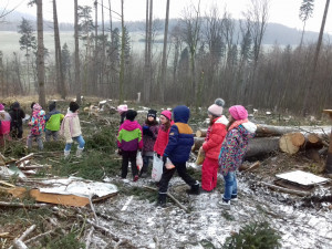 20171220_102952 (Kopírovat)