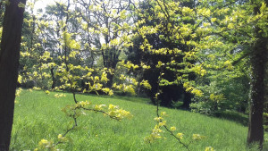 20180430_100942