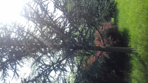 20180430_103230