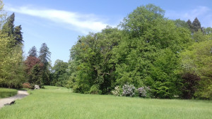 20180430_103241