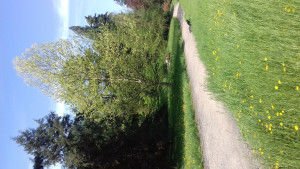 20180430_103251