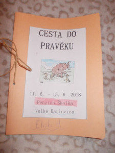 DSCN3500