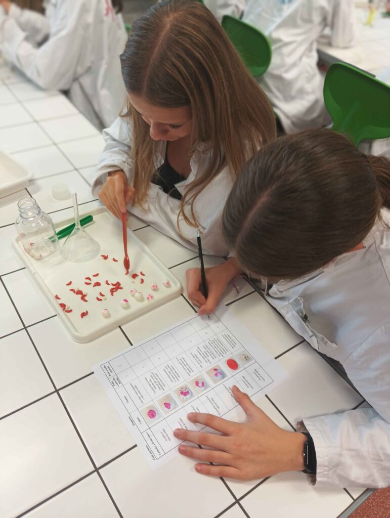 9rocsvettechniky2526 (26)