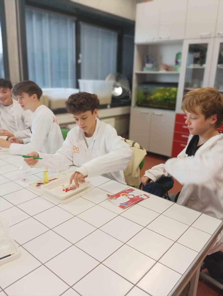 9rocsvettechniky2526 (27)