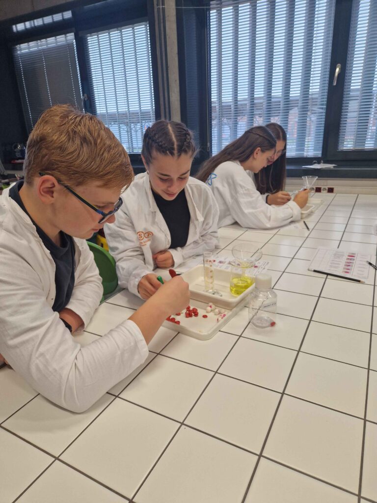 9rocsvettechniky2526 (32)